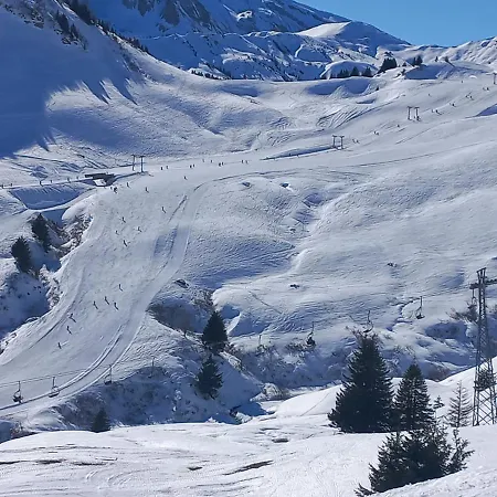 ホステル Freeride Restaurant & Camps *