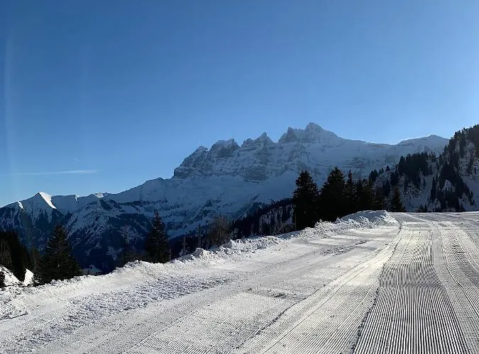 Freeride Restaurant & Camps Hostel Les Crosets