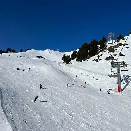 Freeride Restaurant & Camps * Les Crosets